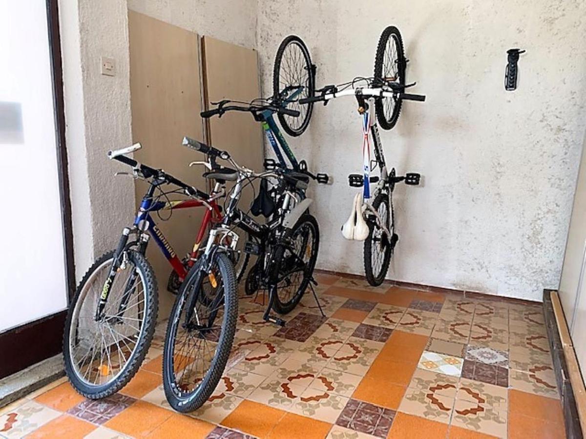 Apartman Aleksandar *