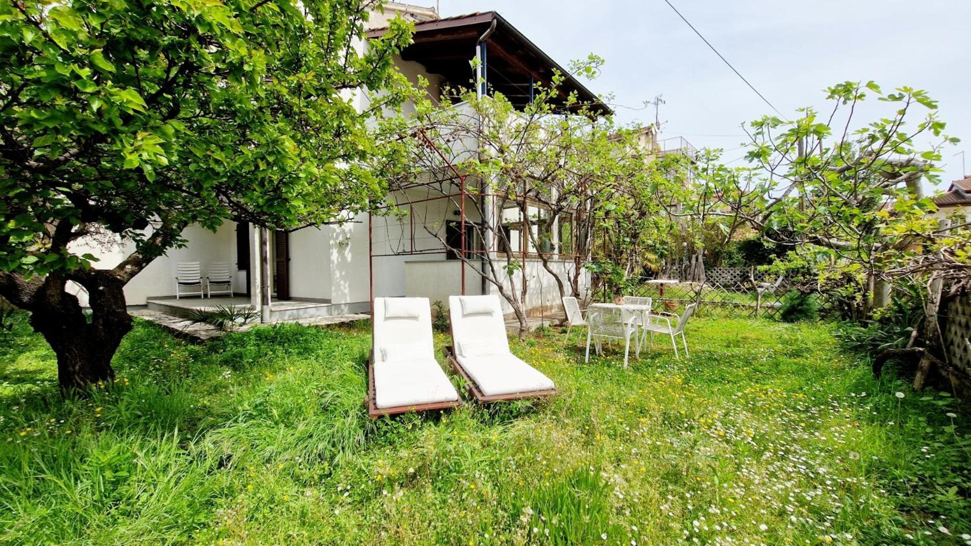 Apartment Aleksandar *